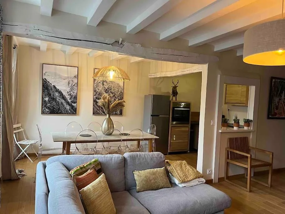 아파트 Superbe Appartement Au Coeur De La Vielle Ville 안시